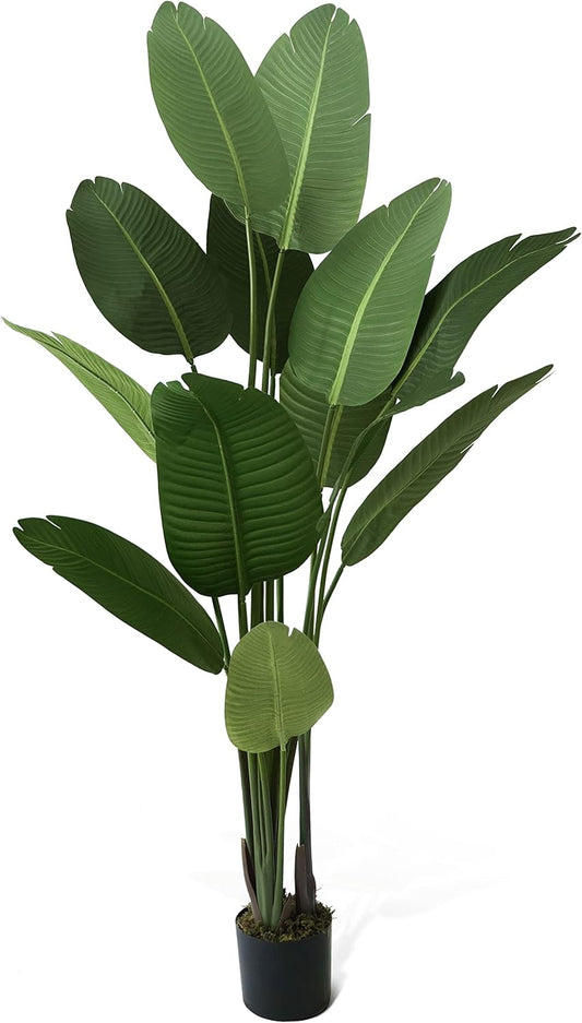 CAPHAUS 6 Feet Artificial Bird of Paradise, 72 Inch with 13 Trunks, Premium UV Resistant Lifelike Fake Plant in Pot with Dried Moss for Office, Indoor/Outdoor Use & Tropical Home Décor