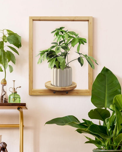 yadoker Wall Planters for Indoor Plants,Bamboo Hanging Plant Holders, Wall Decor Plant Stand, 3-Pack Window Plant Shelves for Living Room & Entryway