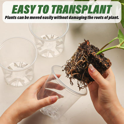 3.5" Clear Seeding Pots 100-Pack Round for Seeds Starter Pots, Seeds Germination Transparent Nursery Pots with Drainage Holes (100PCS)