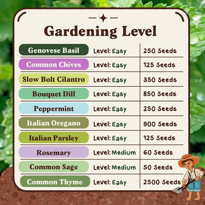 Seedboy Organic 10 Herb Variety Pack: Basil, Cilantro Mint Oregano Parsley Thyme Chives Dill Sage Rosemary for Planting Indoor and Outdoor, 5460 Non-GMO USDA Certified Seeds (10 Herb Variety Pack)