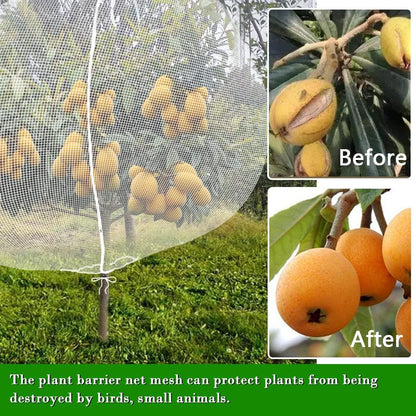 Fruit Tree Netting Covers with Zipper to Protect from Squirrels and Birds Large Netting for Fruit Trees Net Protection, White, 10' x 10', 2 Pack