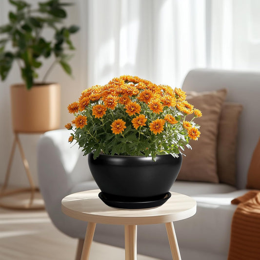 Plant Pot Large 9 Inch - Ceramic Pots for Plants with Drainage Hole and Saucer Round Planter for Indoor Plants Decorative Outdoor Flower Pot Large for House Balcony Black
