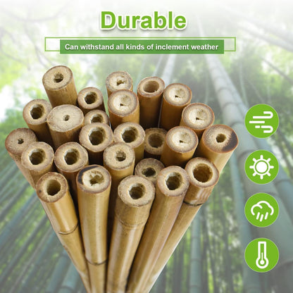 5/8" D 6 Feet Bamboo Stakes 50 Pack, Thicker Heavy-Duty Plant Stakes, Natural Garden Stakes for Bean, Tomato, Bean, Flowers,Trees Potted and Climbing Plant Support