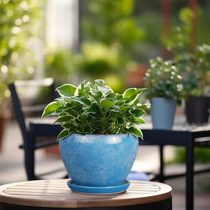 6 Inch Plant Pot - Ceramic Planter Pot with Drainage Hole and Saucer, Glaze Succulent Pot Modern Round Flower Pot for Indoor Plants, Blue