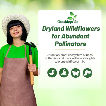 Outsidepride Dryland Wildflower Seed Mix - 1/4 lb. Colorful Blend of Drought Tolerant, Annual and Perennial Wildflower Seeds for Attracting Pollinators in Arid States & Xeriscapes