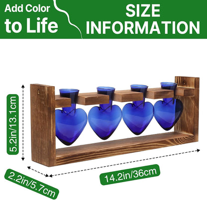 Plant Propagation Stations Heart Plant Terrarium Kit Gift for Women Plant Lover Glass Vases