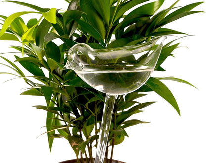 Glass Plant Watering Globes, Self Watering Globes Bird Shape, Self Watering Planter Insert, Plant Watering Devices, Automatic Plant Waterer Indoor, Watering Bulbs, 2 Pack