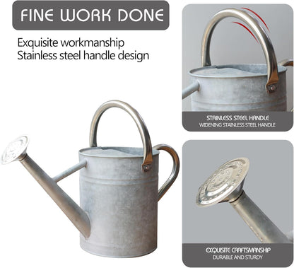 Metal Watering Can for Outdoor and Indoor Plants, Watering Can Decor, 1 Gallon (Zinc Stainless Steel Handle)