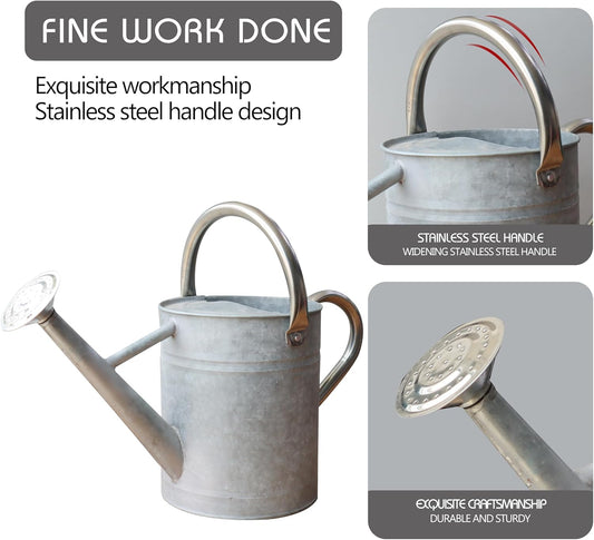 Metal Watering Can for Outdoor and Indoor Plants, Watering Can Decor, 1 Gallon (Zinc Stainless Steel Handle)