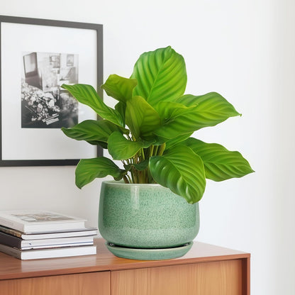 G EPGardening Ceramic Plant Pot - 7 Inch Ceramic Planter for Indoor Outdoor Plants, Flower Pot with Drainage Hole and Tray, Modern Round Planter, Plants Lovers Gifts, Home Garden Decor, Green