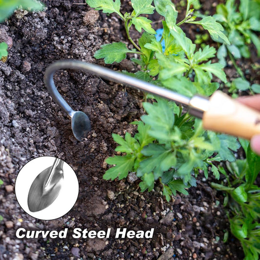 Berry&Bird Weed Puller, Crack Weeder Cultivator Garden Hand Tool, Durable Curved Head Hook & Wooden Handle, Garden Digging, Edging, Planting Remover for Patio Lawn Yard Moss Terrace Paving