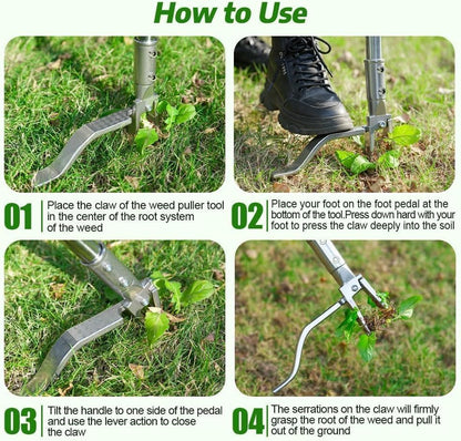 Stainless Steel Stand Up Weed Puller Tool with Long Handle, Thickened 304 Stainless Steel Foot Pedals & 2-Claw Head, Weeding Weed Remove Tool for Lawn/Yard