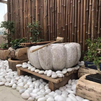 20 lbs White River Rocks for Landscaping, 2-3 inch Large Pebbles for Plants, Decorative Stones for Planters Vase Aquarium and Outdoor Garden Rocks
