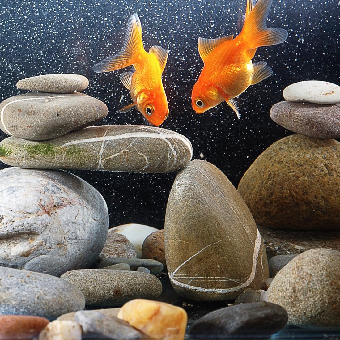 40lbs Natural River Rocks, 1-2" Premium Pebbles for Garden and Landscape Design, Hand-Picked Smooth Stones for Fish Tank, Flower Pots, Indoor Water Fountains, Pathways, Backyard