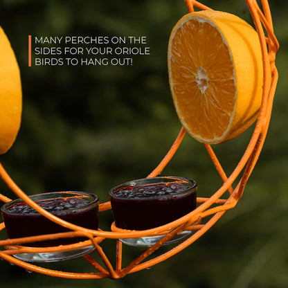 MEKKAPRO Sun Baltimore Oriole Feeder for Outdoors, Jelly and Orange Metal Bird Feeder, Unique Sun Design and Bright Color, Open Top Hook, UV-Resistant Powder-Coated Steel (2 Cups)