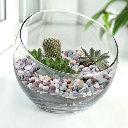 2.5 lbs Pea Gravel for Plants, Aquarium, Fish Tank, 3/8 inch Decorative Pebbles for Indoor Plants, Succulent, Bamboo, Vase, Drainage Rocks for Potted Plants, Top Dressing, Mixed Color