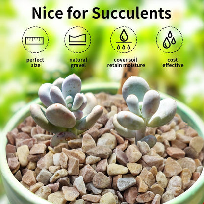 5lbs Natural Pea Gravel Pebbles, 3/8 Inch Decorative Succulent Rocks Pebbles for Indoor Plants. River Rocks for Vase and Outdoor Garden Landscaping Rocks