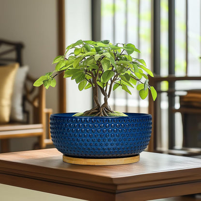 Bonsai Pots - 8 Inch Ceramic Pots for Succulent Plants & Bonsai Tree, Planter with Drainage Hole and Saucer, Modern Round Decorative Flower Planters, House Decor, Gifts for Women Man, Blue
