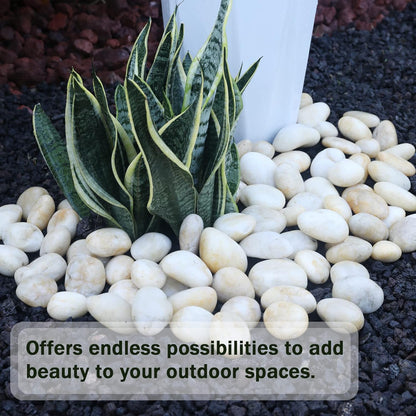 20LB Smooth Pebbles River Rocks, 100% Natural Hand-Picked Premium Decorative Pebbles, Ideal for Garden Landscaping, Home Decor, Aquariums, Painting, Crafting and Gifts, Cream White