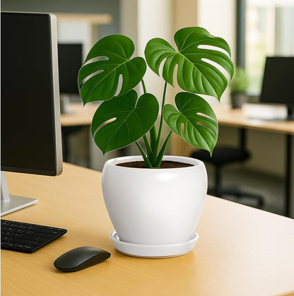 Deep Dream 8 Inch Plant Pot - Ceramic Planter with Drainage Hole and Trays, Modern Round Flower Pot, Planters for Indoor Outdoor Plants, Home Garden Decor, White