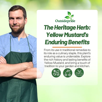 Outsidepride Yellow Mustard Seeds - 5000 Pcs Nutrient-Rich, Flavorful Annual Microgreen Seeds for Planting, Easy-to-Grow, Ideal for Indoor & Outdoor Cultivation, Soil & Hydroponic Systems