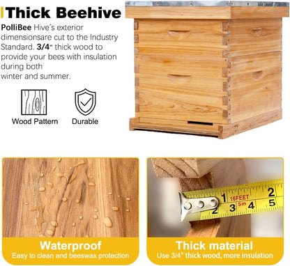 POLLIBEE 10 Frame Bee Hive,Beeswax Coated Beehive Kit for Bee Keeper,Complete Beehive Include 1 Deep Brood Bee Box and 1 Medium Bee Hive Box with Frame and Foundation
