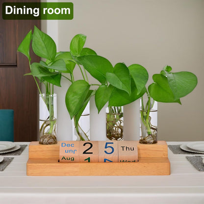 Propagation Vases for Plants, with Block Calendar for Desk, for Home and Desk Decor, Perfect Gardening Gifts for Women, Mom, Teacher, Horticulturist (Dark Wood Color)