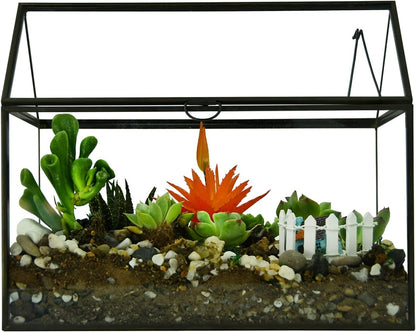 Black 1 Large Glass Plant Terrarium Kit with Lip Greenhouse for Succulents