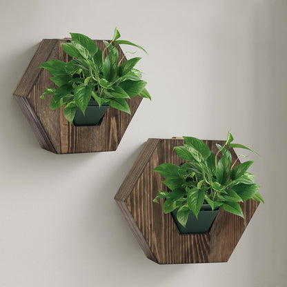 Hexagonal Wooden Wall Planter, Self Watering Living Vertical Planter Indoor, Wooden Frame Planter Wall Decoration Home Office,2pc Walnut