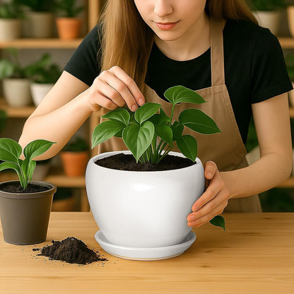 Deep Dream 8 Inch Plant Pot - Ceramic Planter with Drainage Hole and Trays, Modern Round Flower Pot, Planters for Indoor Outdoor Plants, Home Garden Decor, White
