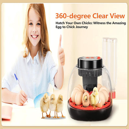 Incubators for Hatching Eggs, 12 Egg Incubator with Automatic Egg Turning and Humidity Control, Water Refill, Air Vent, 360° Viewing for Chickens Ducks Birds, Ideal for Farm, Classroom, Lab, Home Use