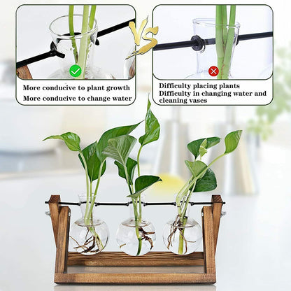 Kingbuy Desktop Glass Planter Iron and Wooden Stand Plant Terrariums for Indoor Office Desk Decor Accessories, 3 Bulb Vases, Brown