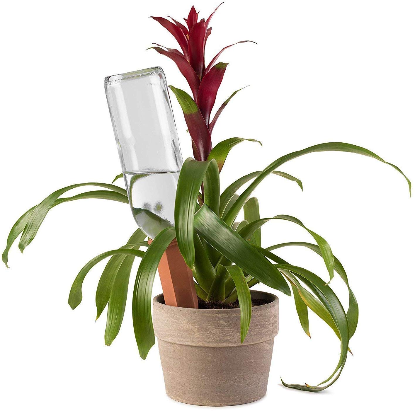 Plant Self-Watering Stakes for Indoor Outdoor Plants (4 Count) Terracotta Plant Watering Spikes for Recycled Wine Bottles to Water Plant at Home or on Vacation - Automatic Irrigation System for Plants