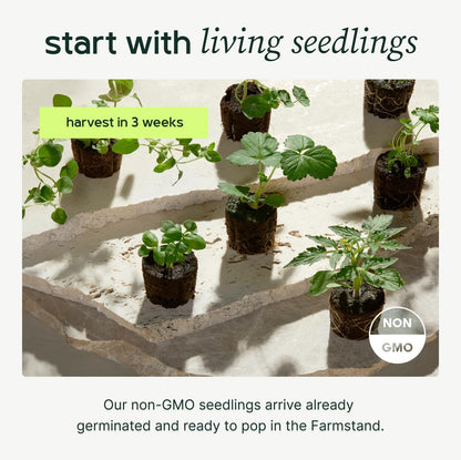 Farmstand Starter Kit + 30 Seedling Credits | Family Hydroponic Growing System Kit | Self-Watering Outdoor Vertical Garden Planter Tower | 5ft 5in | Made in USA