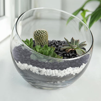 5 lbs Black Pebbles for Indoor Plants, Succulent, Bamboo, Vase, 3/8" Plant Rocks for Pots Indoor, Small River Rocks Decorative Pea Gravel, Highly Polished