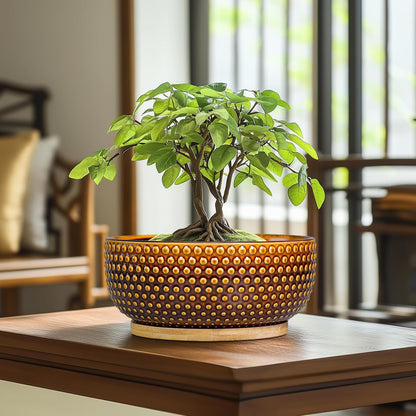 Bonsai Pots - 8 Inch Succulent Bowl for Indoor Plant, Shallow Round Ceramic Planters with Drainage Hole and Saucer, Boho Home Room Office Apartment Decor, Plant Lovers Gifts, Brown