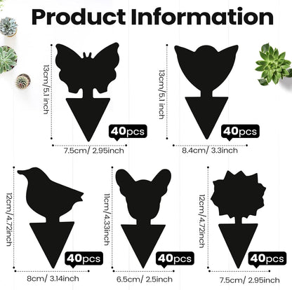 200 Sheets Fruit Fly Sticky Traps for Fruit Fly Gnat Trap for House Indoors Sticky Traps Catcher for Gnats Fungus Gnats Mosquito Catcher for Kitchen Outdoor Plants(Black)