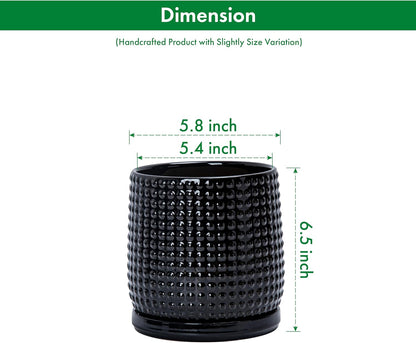 D'vine Dev Set of 2 Ceramic Plants Pots, 6 Inch Beaded Stoneware Flower Pot for Plants with Drainage Hole and Saucer, Glossy Black, 27-E-X-2