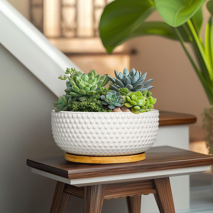 Succulent Pots 8 Inch - Ceramic Bonsai Planters for Indoor Plants, Plant Pot with Drainage Hole and Saucer, Shallow Round Flower Planter, Modern Room Decor, Gifts for Plant Lover, White