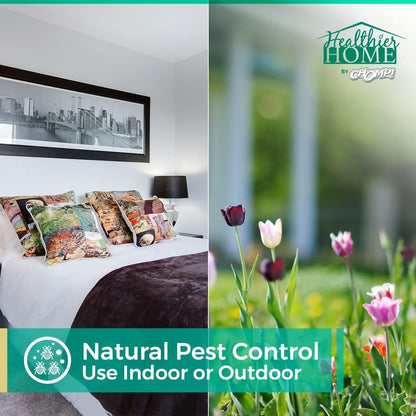 CHOMP! Insect and Pest Control Spray, 128 Ounces, Indoor and Outdoor Use, Plant-Based Formula Ants, Bed Bugs, Dust Mites Spiders, Made with Peppermint, Lemongrass, Geraniol
