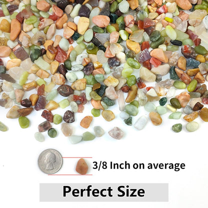 2LB Succulent and Cactus Colorful Pebbles, 3/8 Inch Pebbles for Indoor Plants, Natural Decorative Polished River Rocks for Vases, Planters and Outdoor Gardening