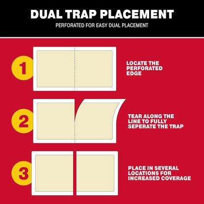 Catchmaster Crawling Insect Trap XL Giant Glue Traps 20-PK, Adhesive Bug Catcher, Spider, Cricket, Ant & Roach Traps for Home, Bulk Insect Glue Boards for House & Garage, Pest Control for Home