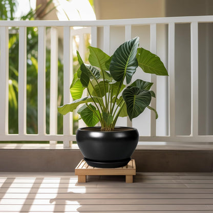 Ceramic Pot for Plants - 11 Inch Plant Pot Indoor with Drainage Hole and Saucer Large Planter Decorative Planter Modern Outdoor Flower Pot for House Balcony Black