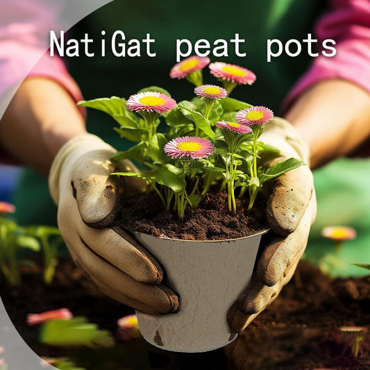 108pcs Peat Pots for Seedling 3.15" Biodegradable Plant Nursery Pots Seed Starting Pots with Drainage Holes, 30 Plant Labels, 2 Transplant Tools