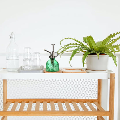 Glass Plant Mister Spray Bottle, Vintage Plant Spritzer Watering Can, Succulent Watering Bottle with Top Pump, Small Plant Sprayer Mister for Indoor Outdoor Houseplant - Green