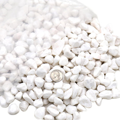Rocks for Plants. White Decorative Pebbles. 0.5 to 1 Inch 18 lbs. for Garden, Landscaping, Indoor, Vase fillers, Crafting, Succulents, pots, Plants