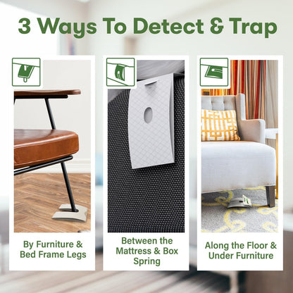 BugMD Bed Bug Trap (1 Pack, 12 Traps) - Interceptors, Bed Bug Prevention, Sticky Glue Traps, Insect Trap Indoor