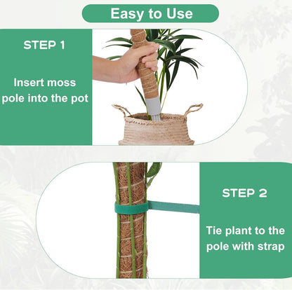 3 Pack Moss Pole, 50 Inch Monstera Plant Support, Tall Moss Poles for Climbing Plants Indoor DIY, Coco Coir Plant Pole Moss Plant Stick Support Stake Kit for Potted Plants, Pothos, Philodendron