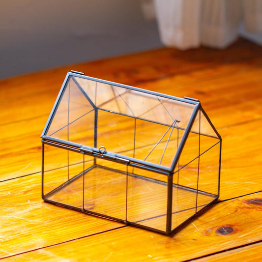 NCYP Mini Glass Terrarium with Lid - 6.1" x 4.25" x 4.92" House Shape Closed Planter Pot for Small Cactus, Succulents Plant - Home Garden Office Tabletop Geometric Decor, Black (Terrarium Only)