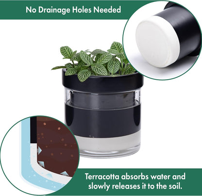 Phoenix Vine 4 Inch Self Watering Terracotta Planter, Black Terracotta Clay Pot with Glass Reservoir for Indoor Plants, Herbs, Flowers, Set of 1, 52-C-E-1